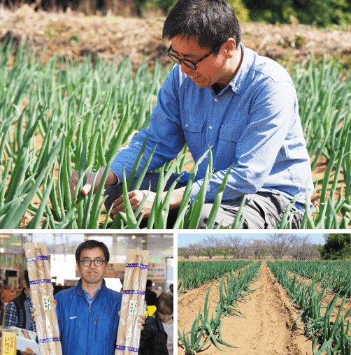 野菜作りのこだわり