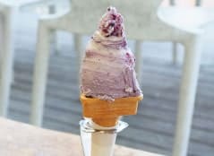 ブルーベリージェラート